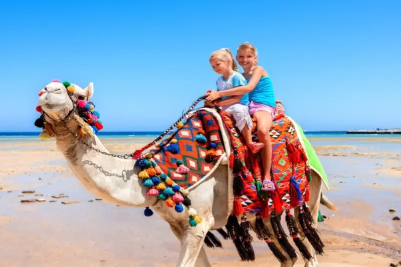 Egitto ad agosto: Guida completa per una vacanza estiva indimenticabile