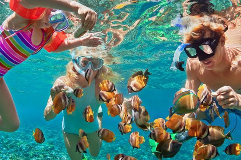 Cosa vedere in Egitto: Migliori cose da fare e visitare in viaggio