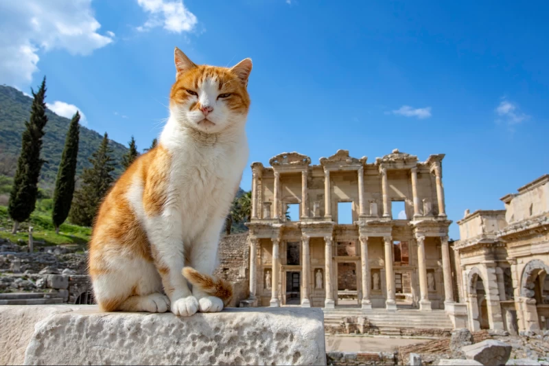 Gran Tour della Turchia, 15 Giorni di Cultura, Storia e Mare