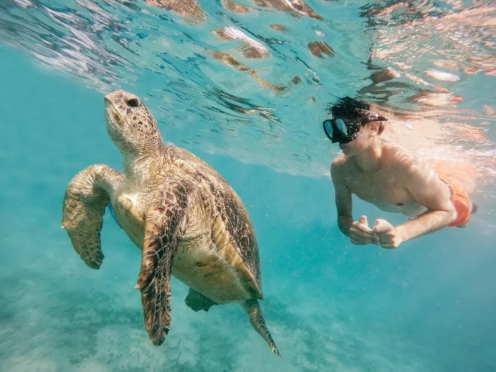 Cosa fare a Marsa Alam tra mare, escursioni e relax