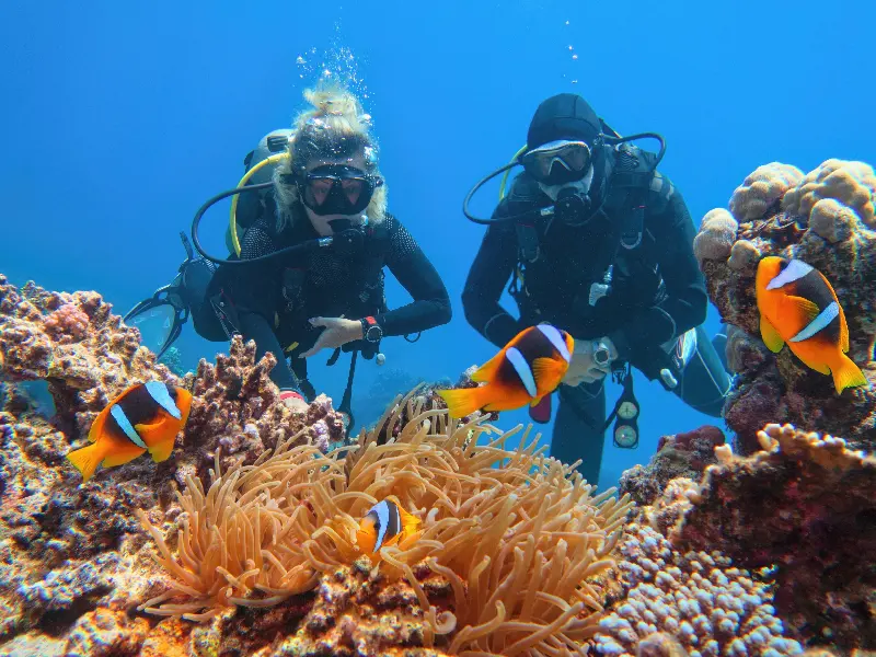 Sharm el Sheikh cosa vedere per un viaggio indimenticabile