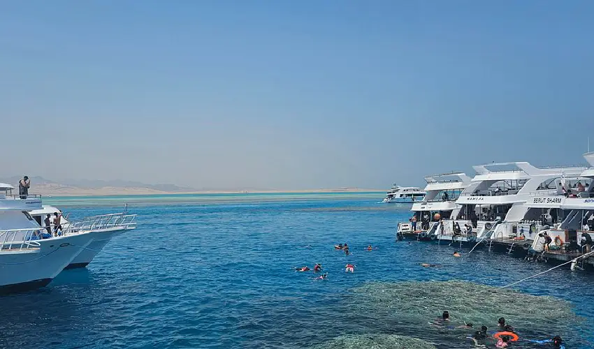 Cosa fare a Sharm el Sheikh immersioni e relax