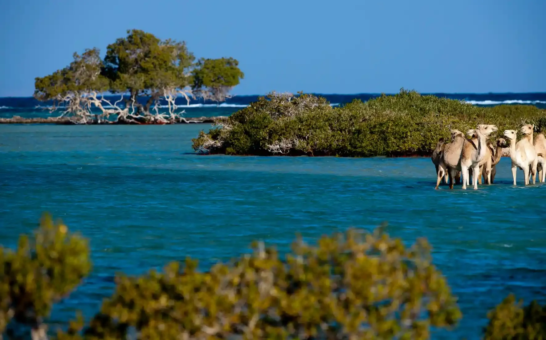 Cosa visitare a Marsa Alam tra natura e tradizioni