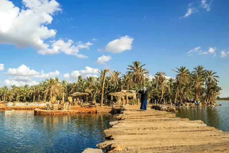 Guida completa all’Oasi di Siwa con informazioni su storia, tradizioni, attrazioni.