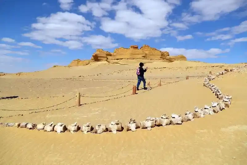 Valle delle Balene in Egitto: Guida Completa alla Wadi El Hitan