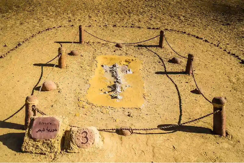 Dove si trova la Valle delle Balene in Egitto - Wadi El Hitan nel deserto del Fayoum