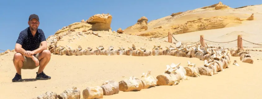 Viaggio di 5 giorni Valle delle Balene e Fayoum in Egitto