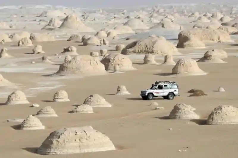 Esplorazione del Deserto Bianco Egitto con visita alle oasi e safari nel Sahara