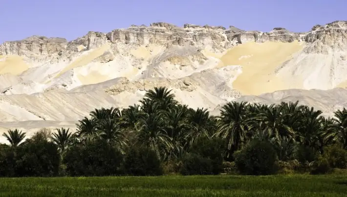 Panoramica di oasi egiziane con palme, sorgente d’acqua e deserto dorato
