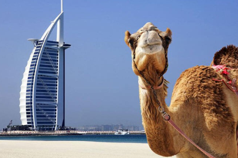 Viaggiare Sicuri Dubai: salute, clima e consigli pratici per una vacanza senza stress