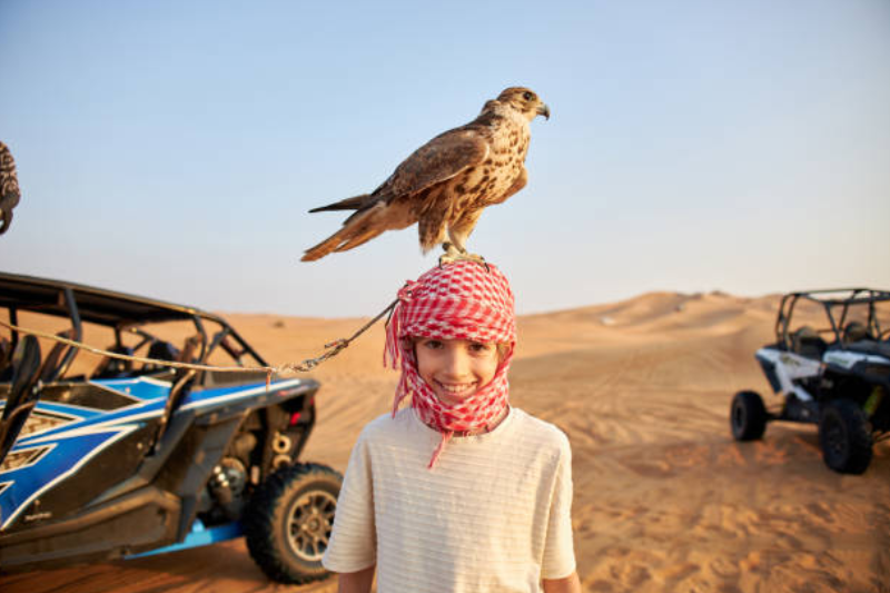 Esperienze consigliate e sicure a Dubai per viaggiatori