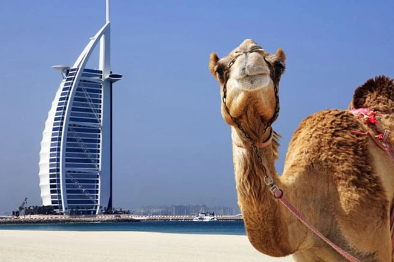 Scopri cosa fare a Dubai tra modernità, cultura e deserto