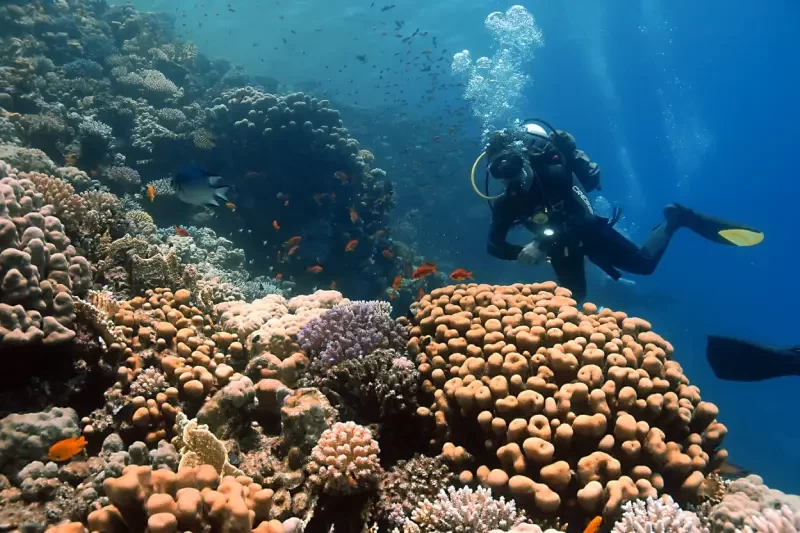Marsa Alam: Città, Mare, Quando Andare e Temperature