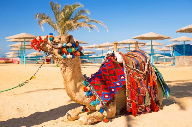 Veduta aerea della costa di Sharm El Sheikh