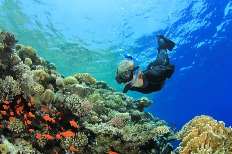 Snorkeling Mezza Giornata a Sharm El Luli Marsa Alam