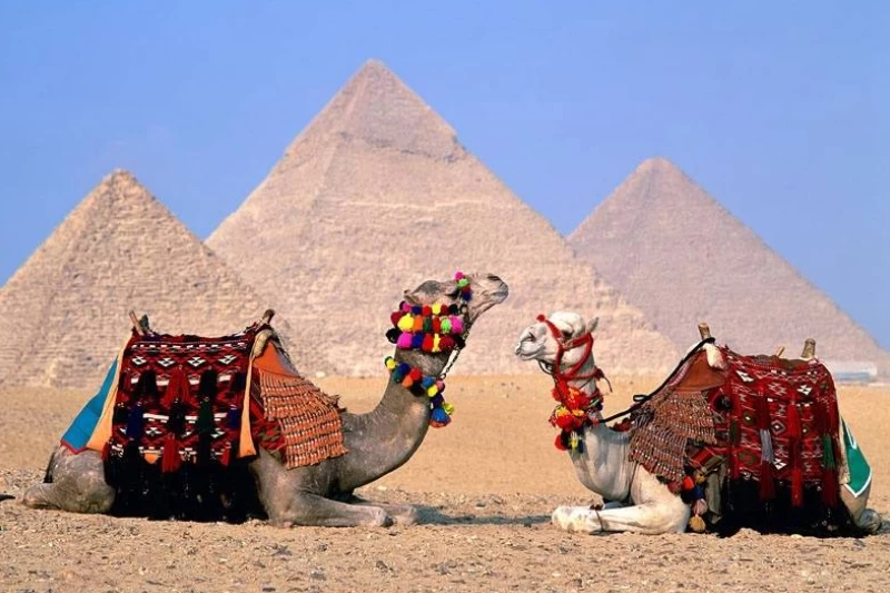 Le Piramidi di Giza sotto il sole mite dell'Egitto a gennaio.