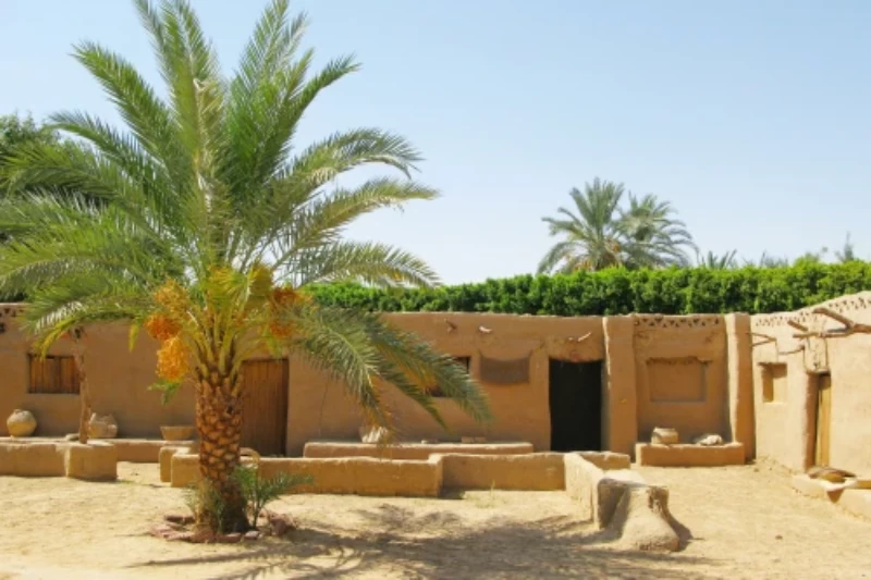 Il verde intenso dei palmeti dell'Oasi di Kharga