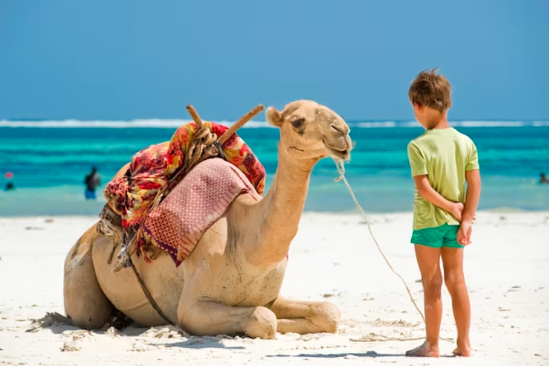 Tour crociera sul Nilo e Marsa Alam