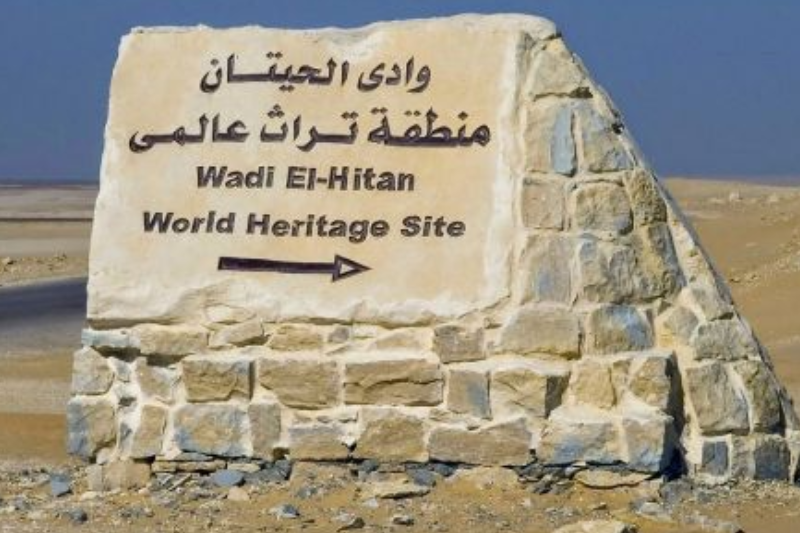 Wadi Al-Hitan, deserto del Fayyum