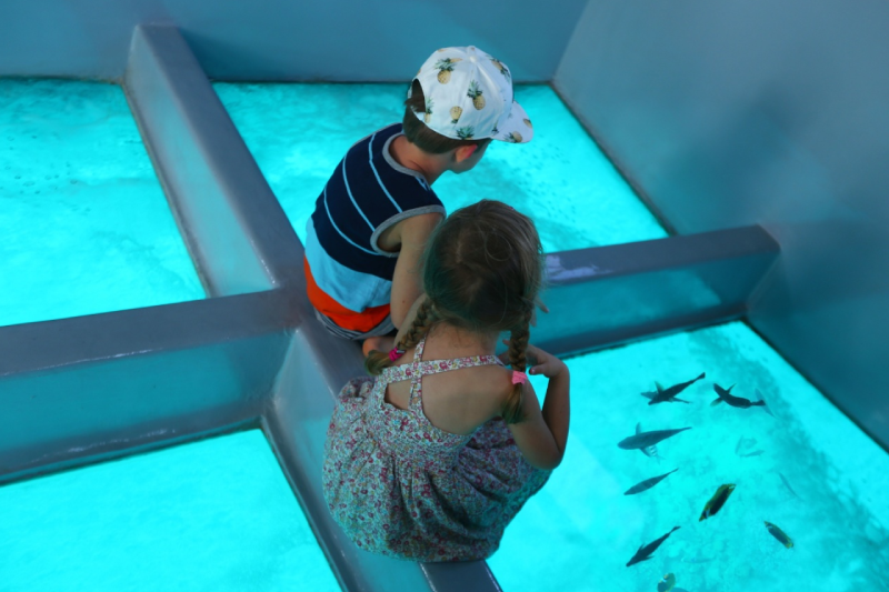 Sharm El Sheikh cosa vedere