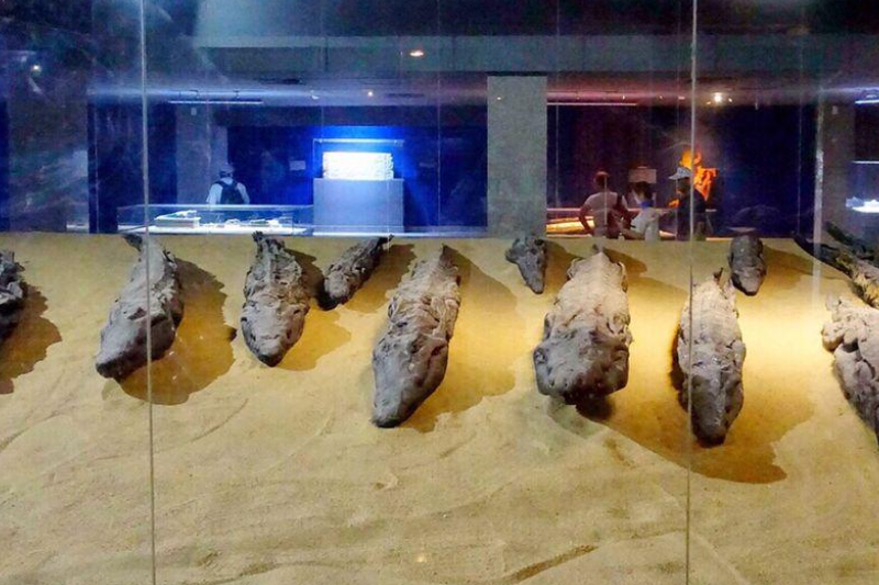 Kom Ombo, Egitto: Storia, Cosa Vedere e Tempio dei Due Dei