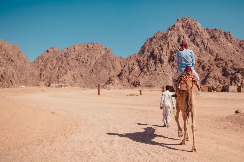 Deserto Sharm: Guida Completa tra Safari, Canyon e Sinai