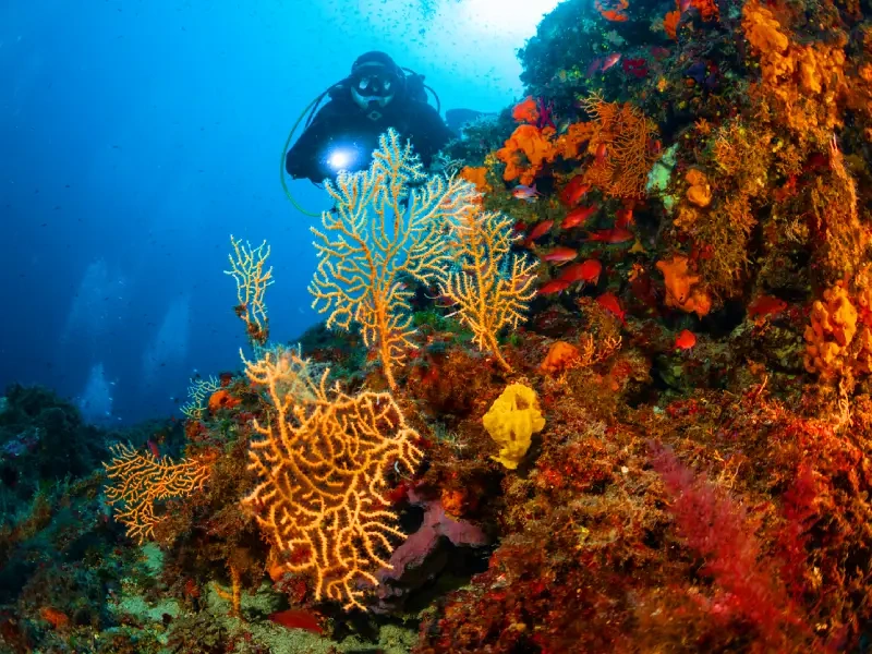 Berenice relax totale tra mare e deserto egiziano