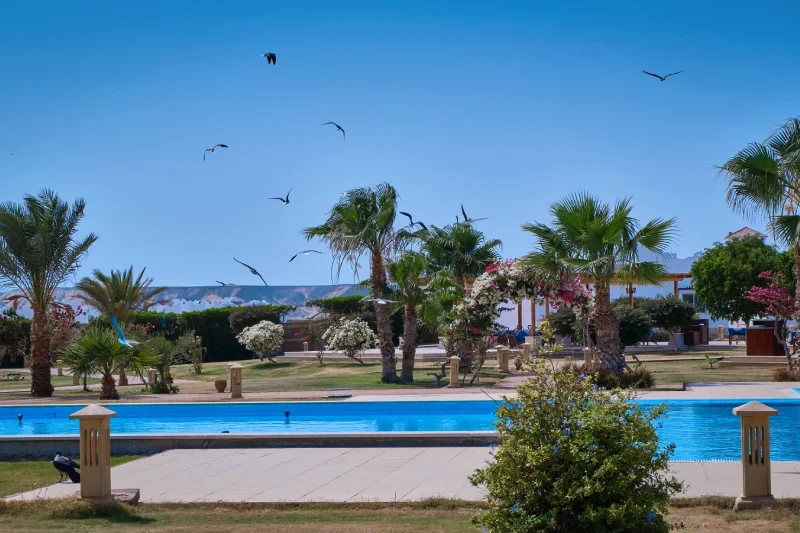 Berenice egitto hotel resort tranquilli sul rosso