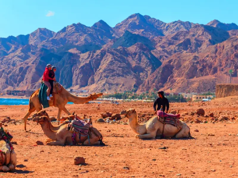 Berenice egitto paradiso nascosto sul mar rosso
