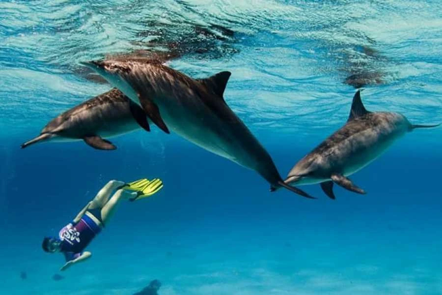 Mare in Egitto a Novembre tra relax e snorkeling
