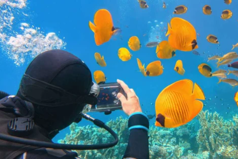 Dove andare in Egitto a Giugno per snorkeling e relax