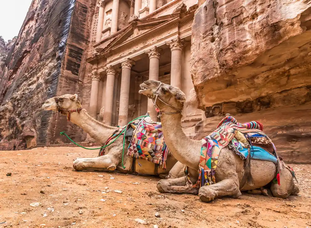 Cosa fare a Petra per vivere un’esperienza autentica