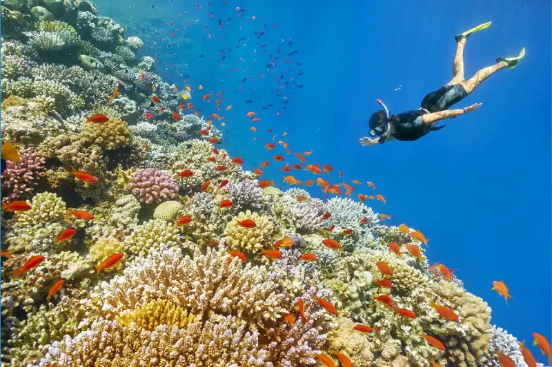 Giordania clima Luglio: vacanza soleggiata sul Mar Rosso