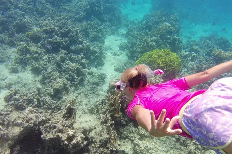 Mare in Giordania con fondali ricchi di coralli colorati