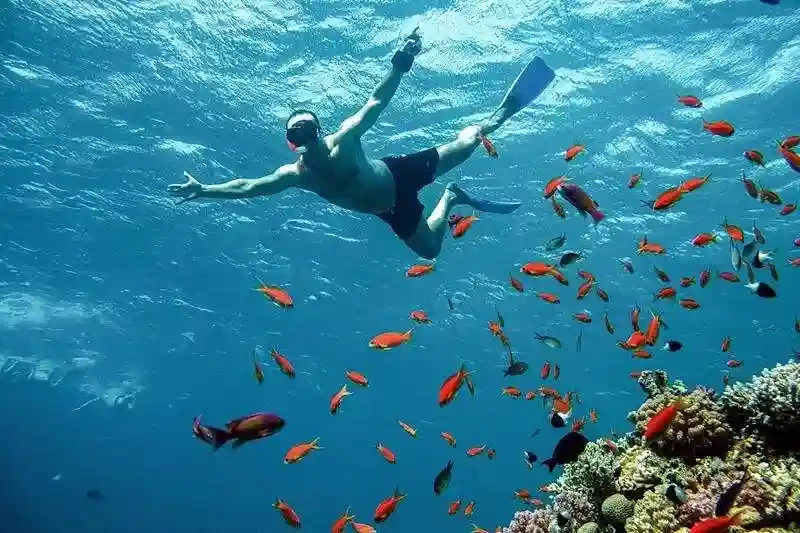 Temperatura Marsa Alam agosto ideale per il Mar Rosso