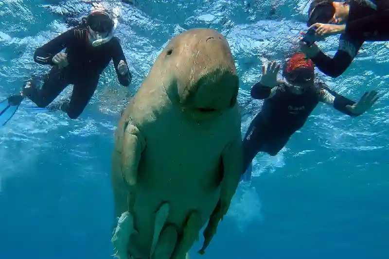 Marsa Alam o Hurghada: quale scegliere per il mare