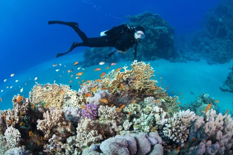 Quando andare a Marsa Alam per mare e snorkeling