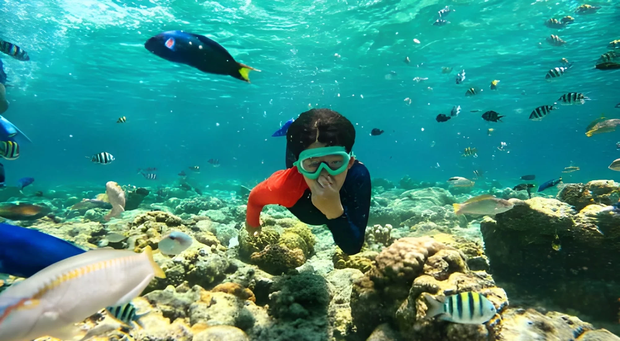 Los Mejores Lugares Para Hacer Snorkel En Egipto Más Allá De Hurghada