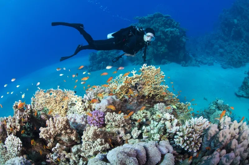 Egitto Farnesina oggi guida per viaggiatori italiani
