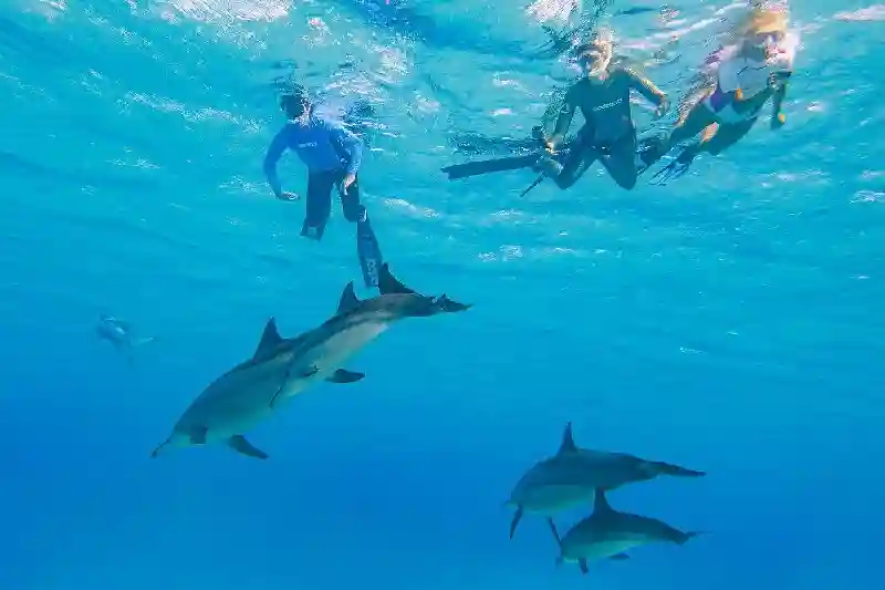 Marsa Alam dove si trova e quali sono le spiagge più belle