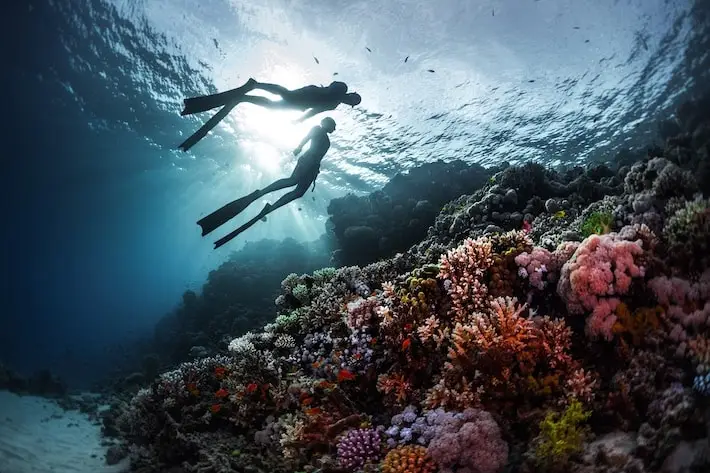 Cosa vedere a Marsa Alam tra reef tartarughe e spiagge