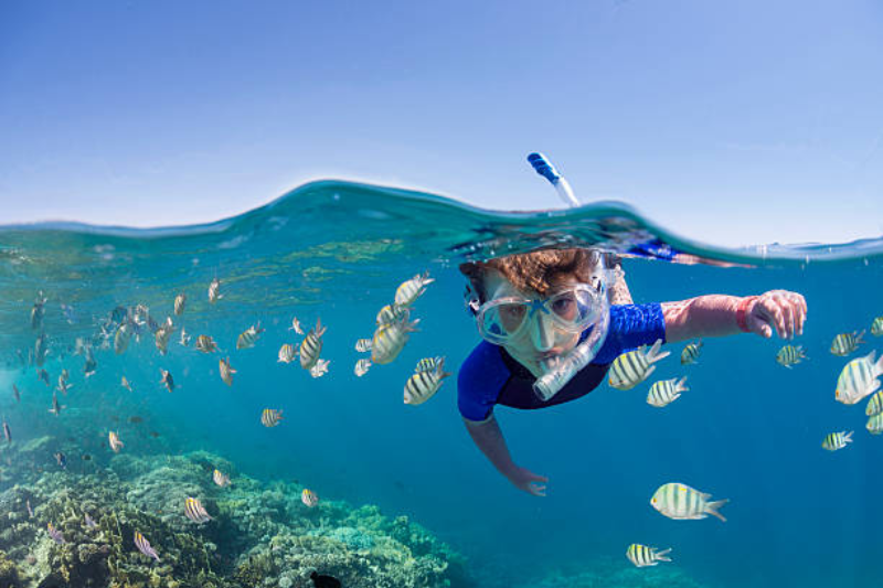Quando andare a Marsa Alam per fare il bagno nel Mar Rosso