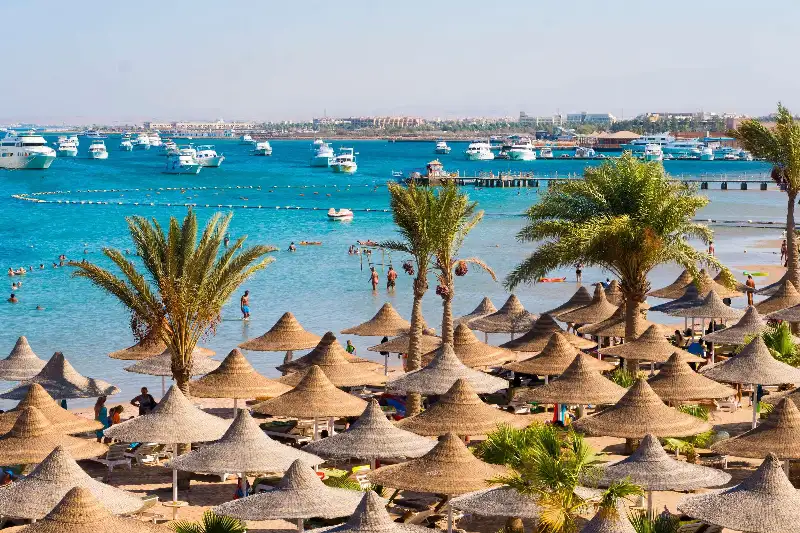 Quando andare a Marsa Alam per fare il bagno tutto l'anno