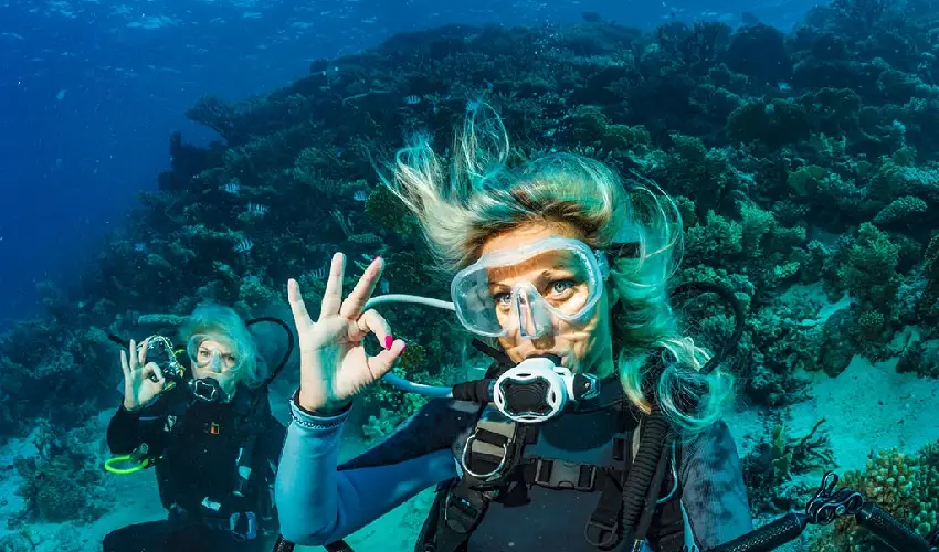 Marsa Alam cosa fare per vivere il meglio del Mar Rosso