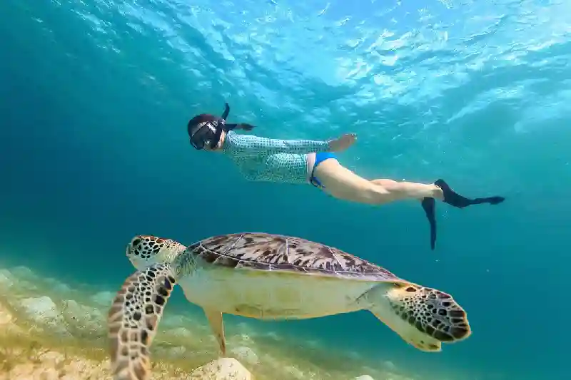 Mar rosso squali: specie presenti e consigli di sicurezza