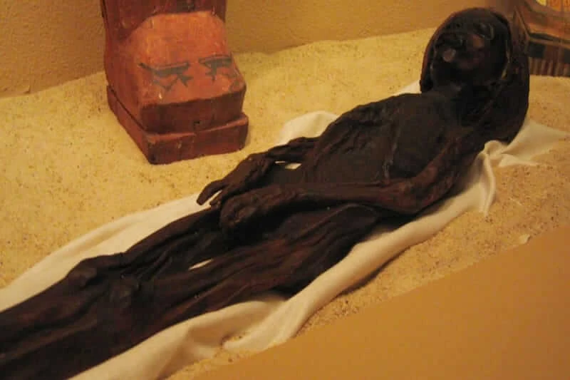museo di luxor biglietti, prezzi e informazioni per la visita